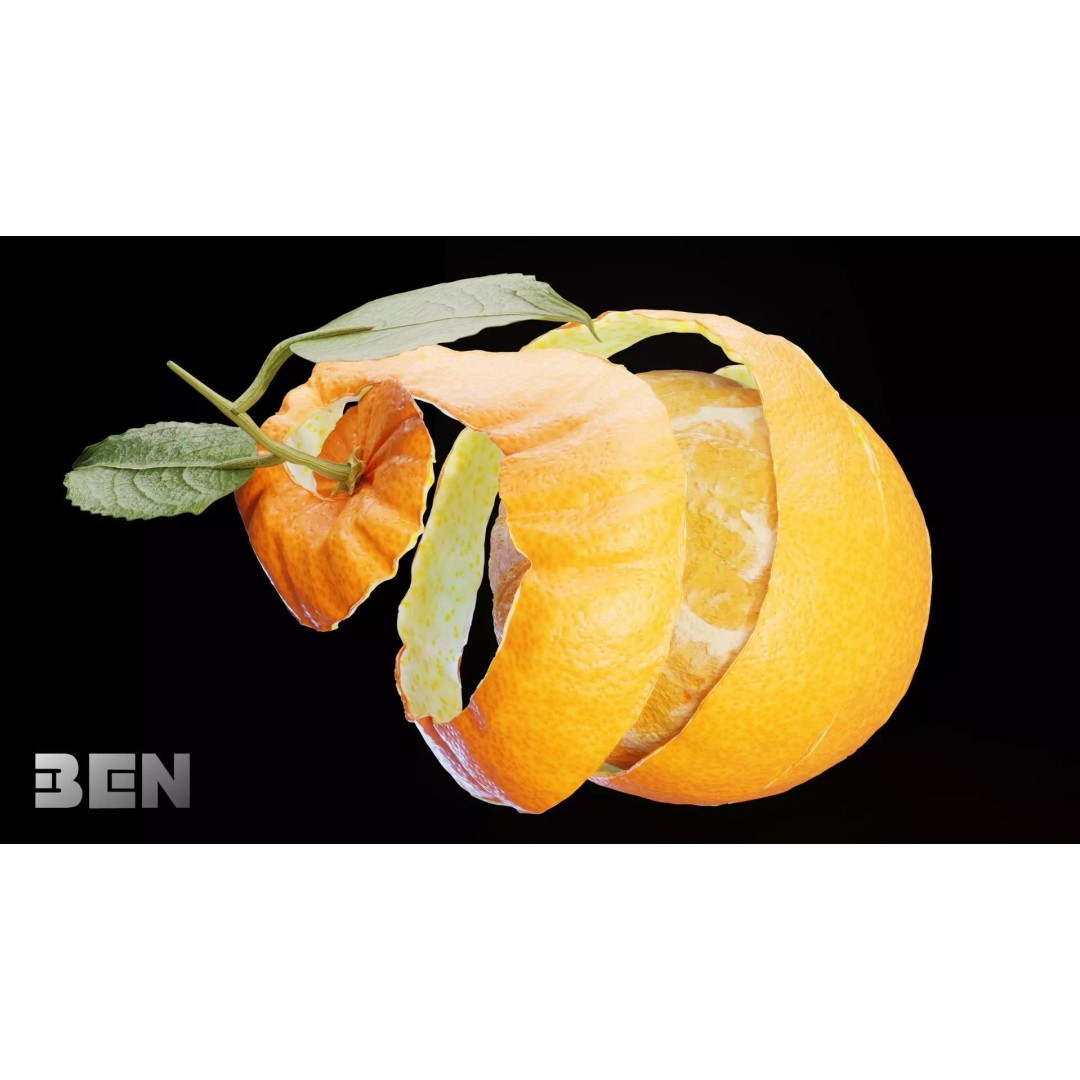 Realistic Orange 3D Model – Animated, PBR Textured, Blender, FBX - View 7