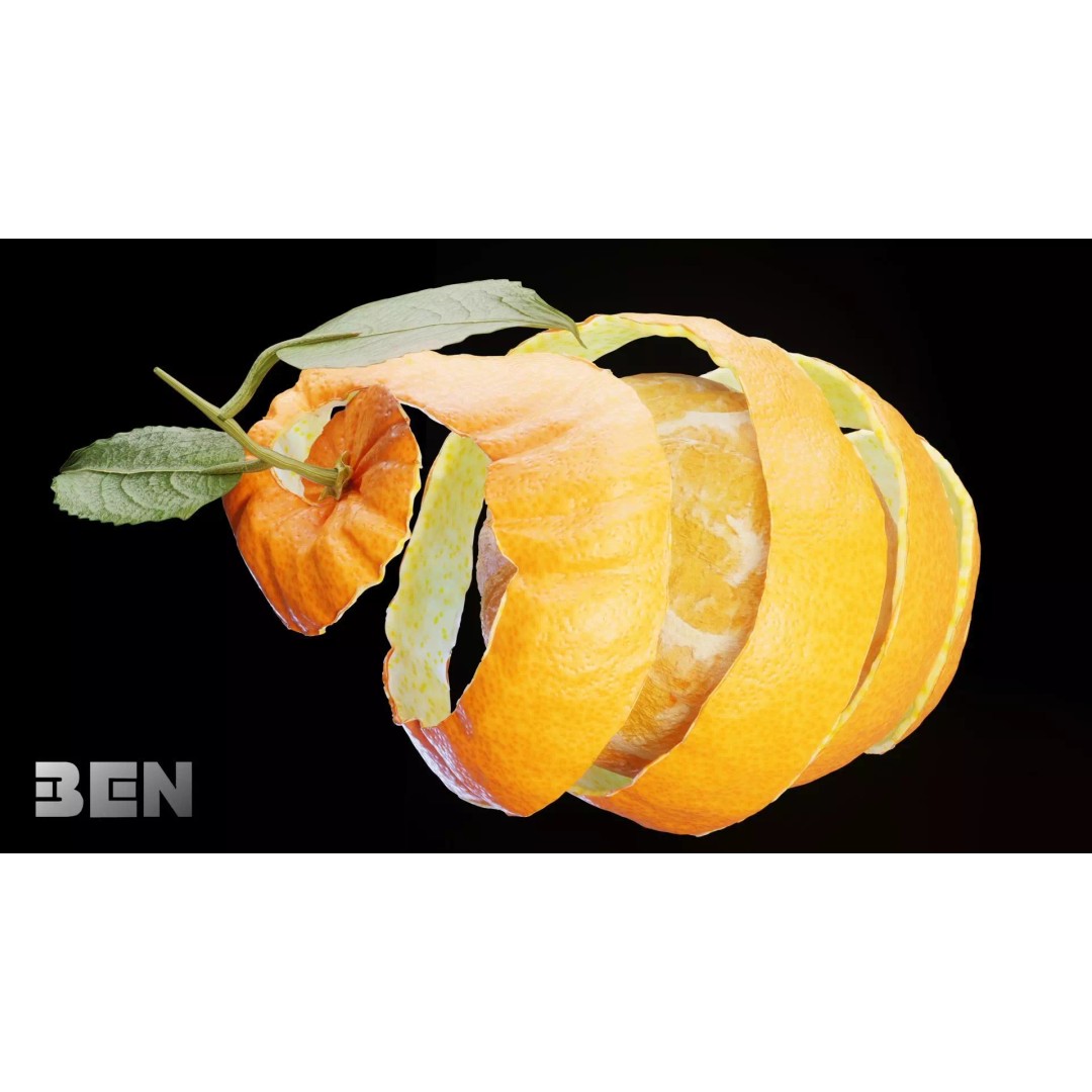 Realistic Orange 3D Model – Animated, PBR Textured, Blender, FBX - View 8