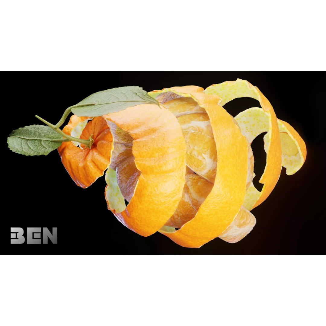 Realistic Orange 3D Model – Animated, PBR Textured, Blender, FBX - View 9