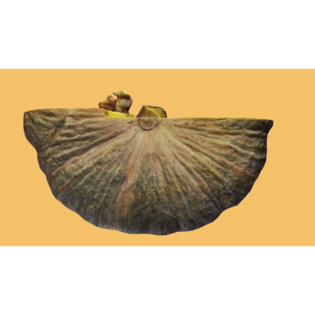 Realistic Pumpkin 3D Model – Low Poly PBR Vegetable, FBX, OBJ, Blender - View 12