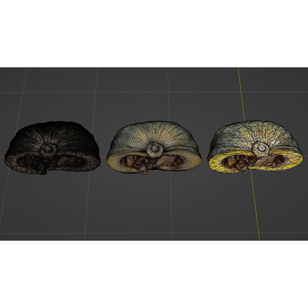Realistic Pumpkin 3D Model – Low Poly PBR Vegetable, FBX, OBJ, Blender - View 16