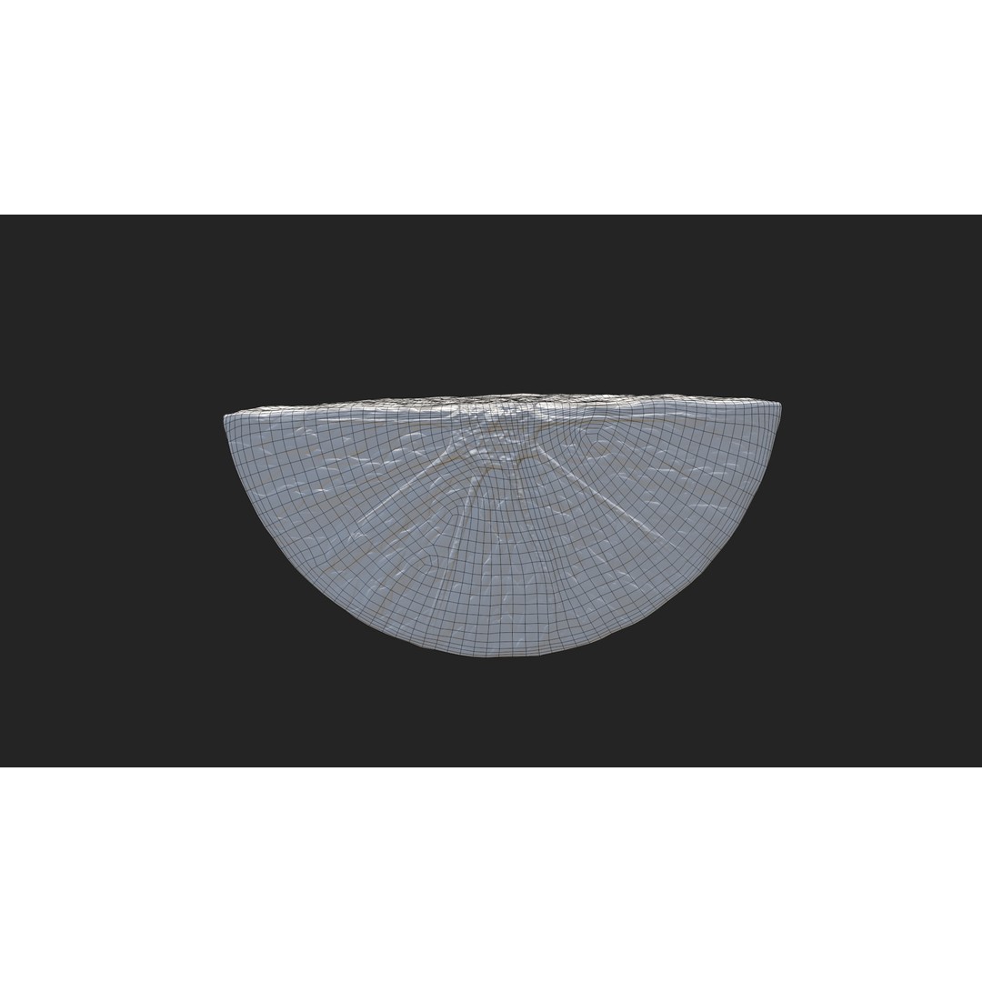 Citrus Slice 3D Model – Low Poly Fruit Collection, PBR Textures
