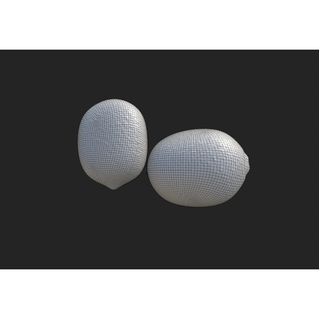 Citrus Slice 3D Model – Low Poly Fruit Collection, PBR Textures - View 21