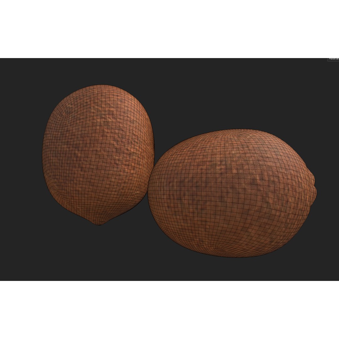 Citrus Slice 3D Model – Low Poly Fruit Collection, PBR Textures - View 22