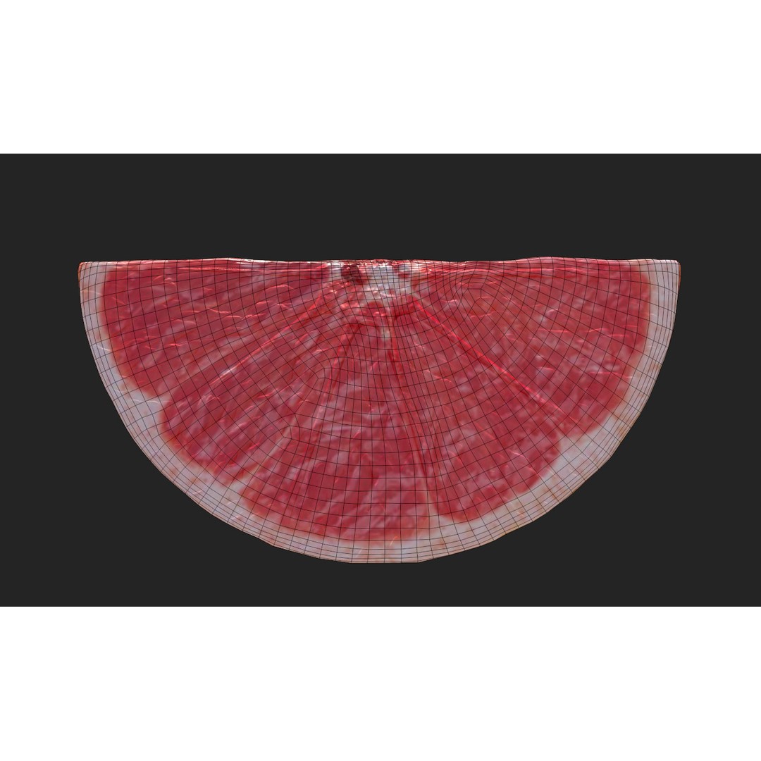 Citrus Slice 3D Model – Low Poly Fruit Collection, PBR Textures - View 28