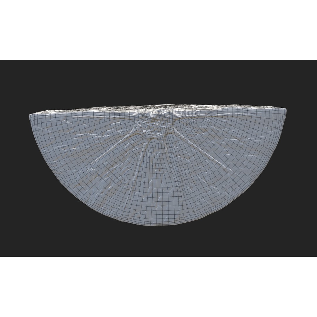 Citrus Slice 3D Model – Low Poly Fruit Collection, PBR Textures - View 29