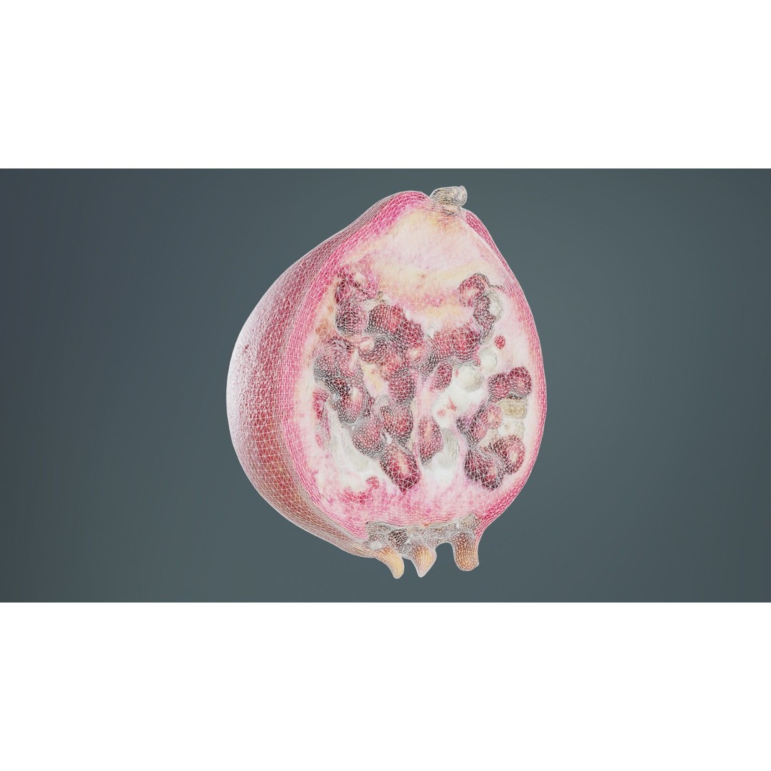 Pomegranate Half 3D Model – Low Poly Game Asset, FBX, PBR Textures - View 11