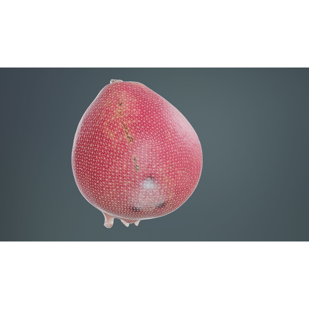 Pomegranate Half 3D Model – Low Poly Game Asset, FBX, PBR Textures - View 12