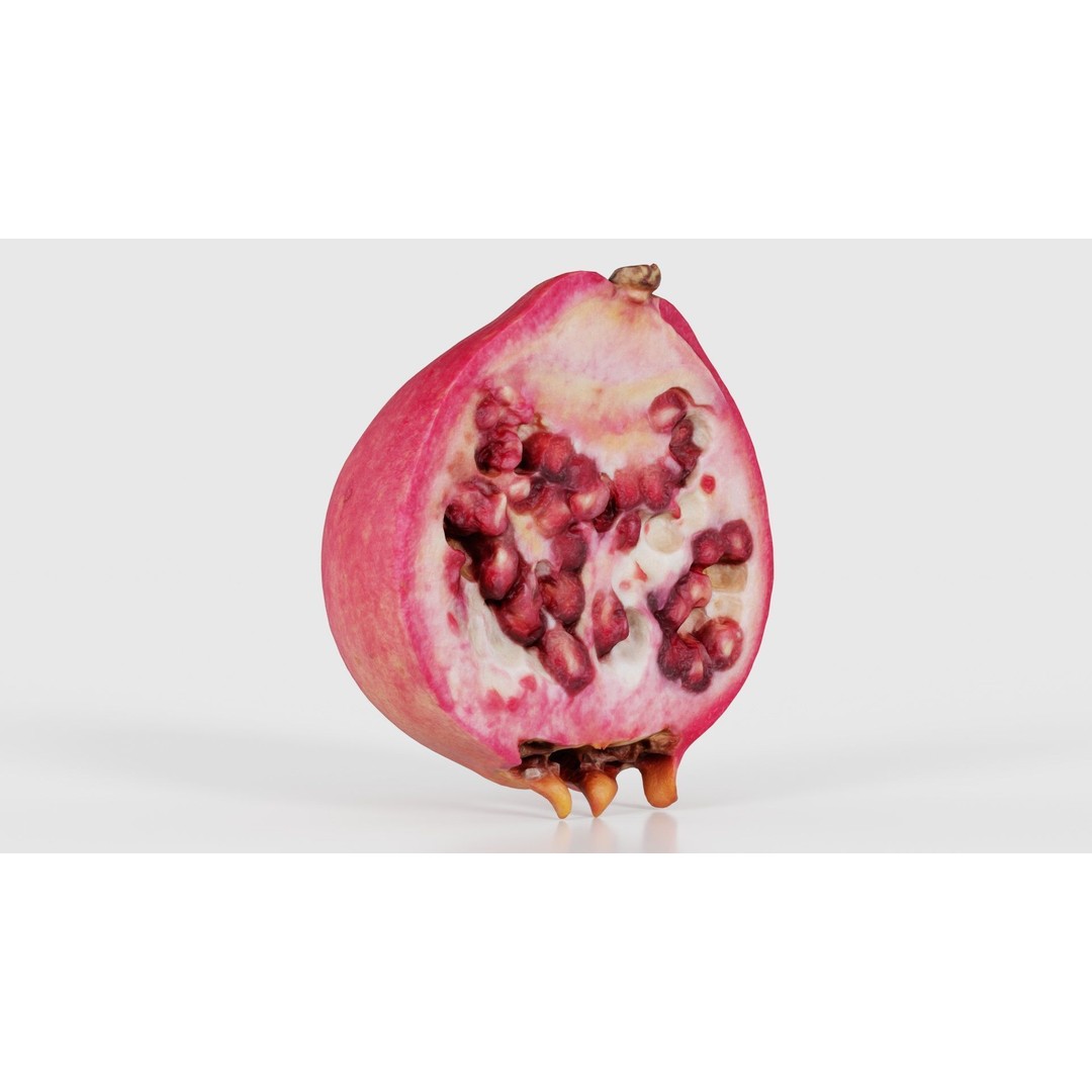 Pomegranate Half 3D Model – Low Poly Game Asset, FBX, PBR Textures - View 17