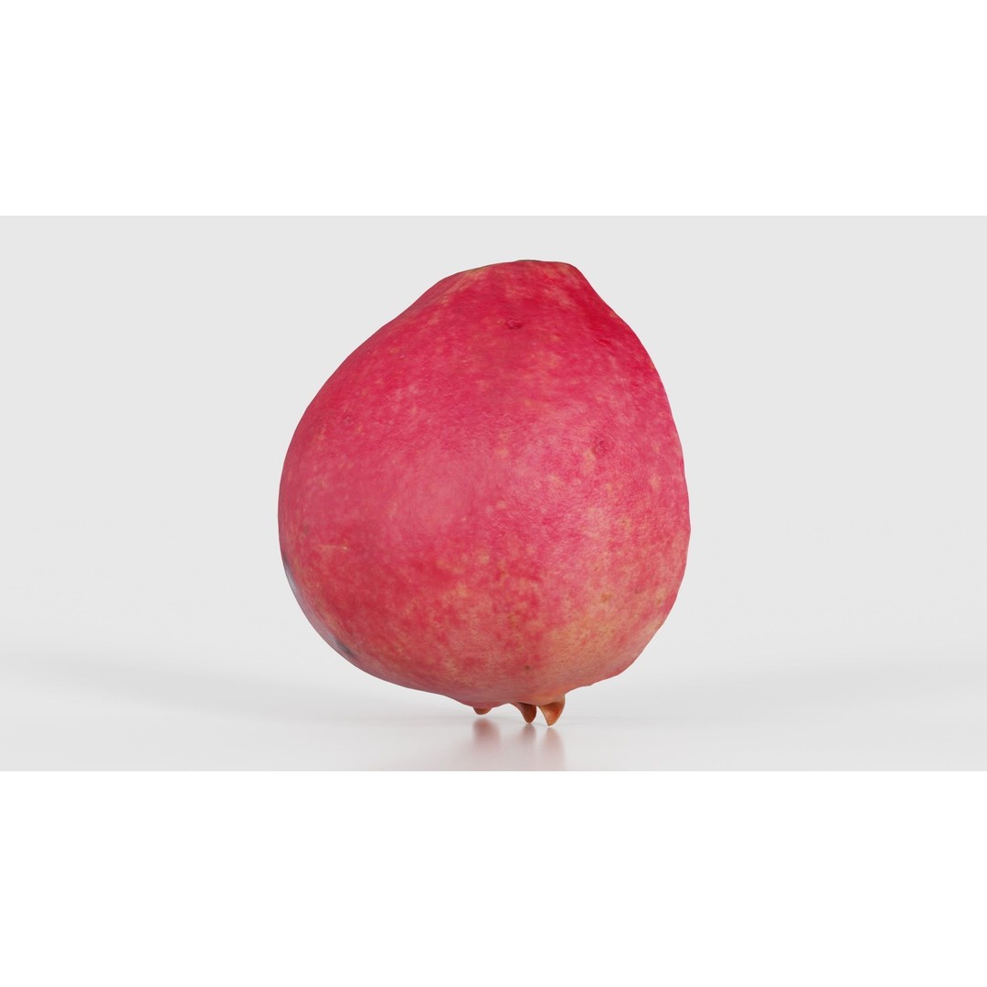 Pomegranate Half 3D Model – Low Poly Game Asset, FBX, PBR Textures - View 20