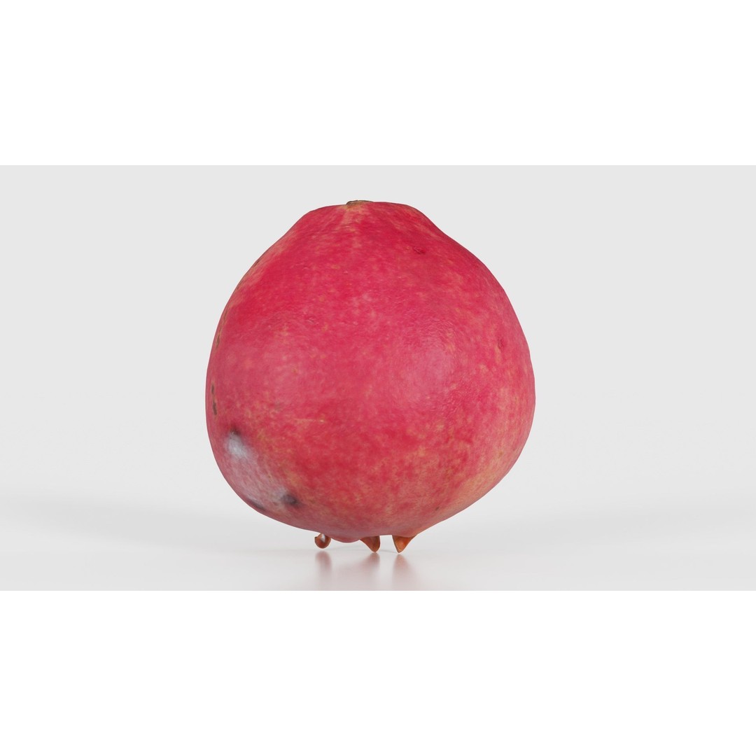 Pomegranate Half 3D Model – Low Poly Game Asset, FBX, PBR Textures - View 21