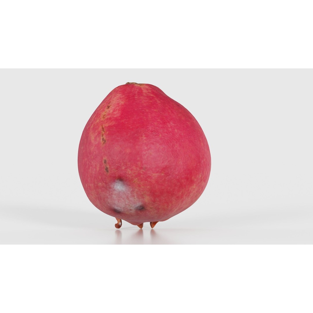 Pomegranate Half 3D Model – Low Poly Game Asset, FBX, PBR Textures - View 22