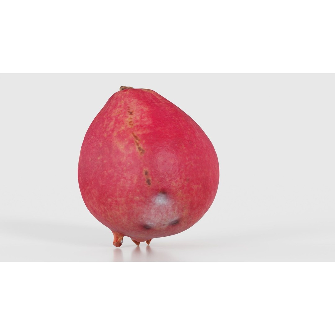 Pomegranate Half 3D Model – Low Poly Game Asset, FBX, PBR Textures - View 23