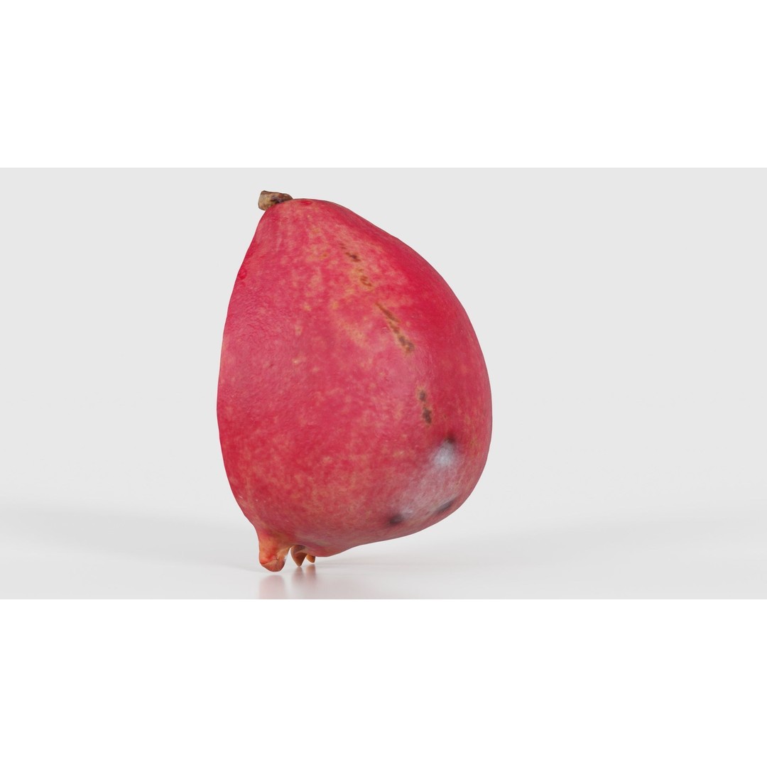 Pomegranate Half 3D Model – Low Poly Game Asset, FBX, PBR Textures - View 24