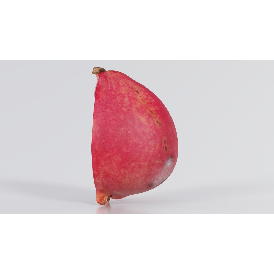Pomegranate Half 3D Model – Low Poly Game Asset, FBX, PBR Textures - View 8