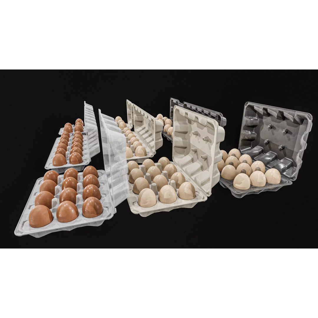 Eggs 3D Model – Low Poly Game Asset with PBR Textures, FBX - View 4