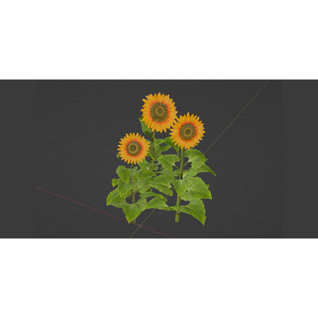 Sunflowers 3D Model – High Poly PBR Blender Asset, FBX & OBJ - View 7