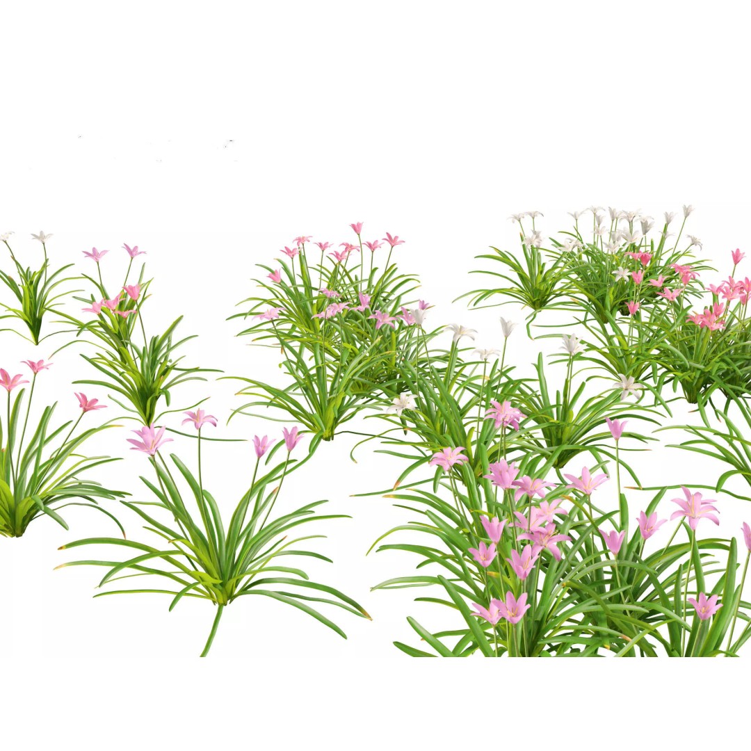 Exotic Tropical Greenery Pack 3D Model – High Poly Plants, FBX & Blender