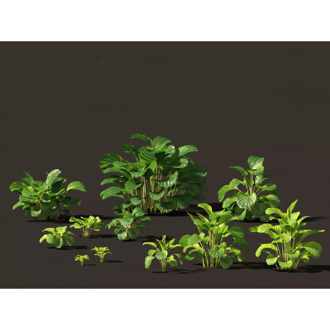 Exotic Tropical Greenery Pack 3D Model – High Poly Plants, FBX & Blender - View 11