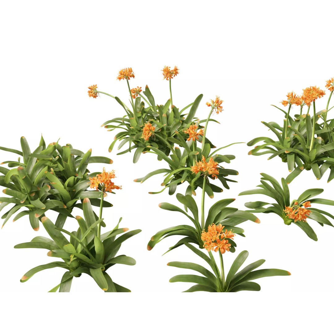 Exotic Tropical Greenery Pack 3D Model – High Poly Plants, FBX & Blender - View 13