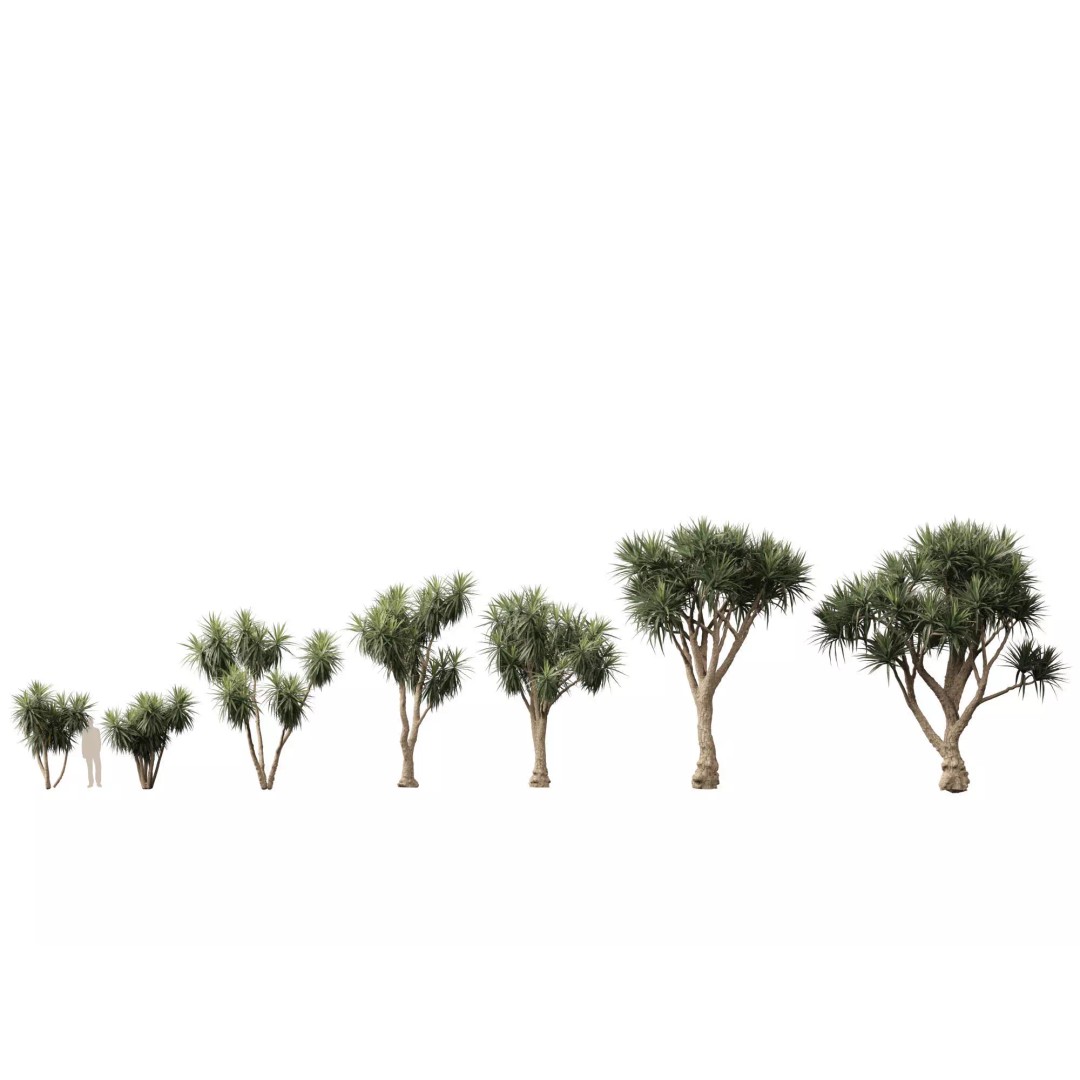 Exotic Tropical Greenery Pack 3D Model – High Poly Plants, FBX & Blender - View 14
