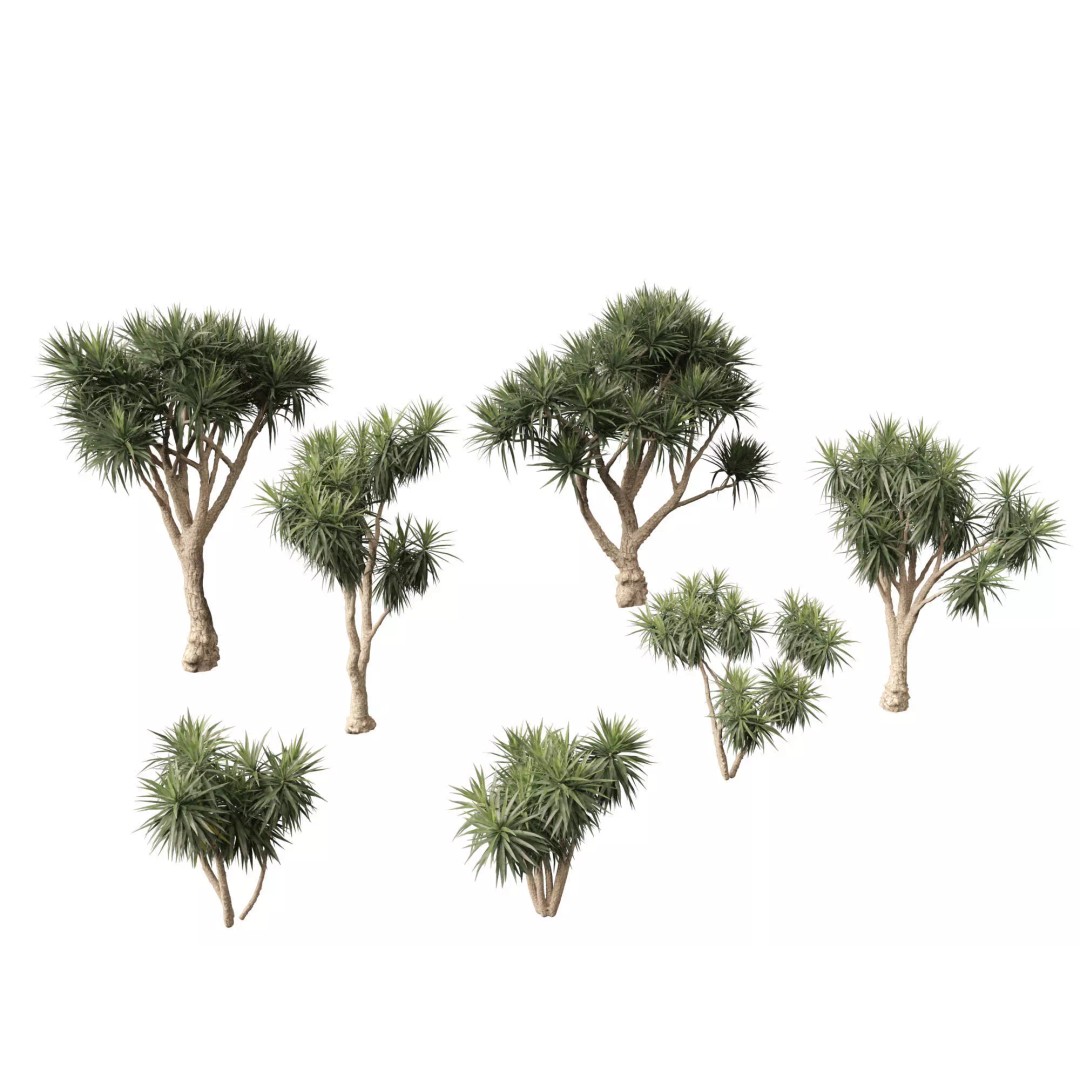 Exotic Tropical Greenery Pack 3D Model – High Poly Plants, FBX & Blender - View 15