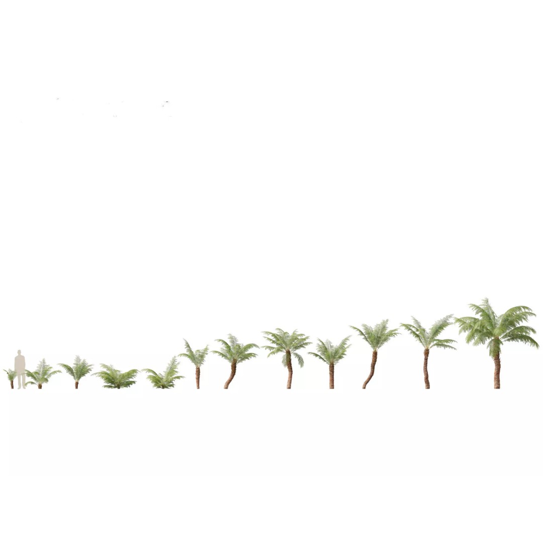 Exotic Tropical Greenery Pack 3D Model – High Poly Plants, FBX & Blender - View 18