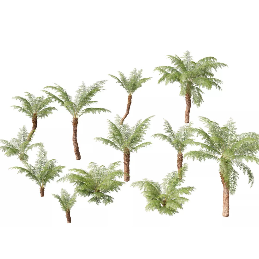 Exotic Tropical Greenery Pack 3D Model – High Poly Plants, FBX & Blender - View 19