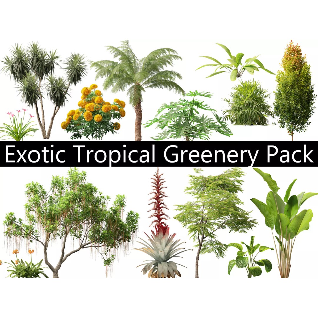 Exotic Tropical Greenery Pack 3D Model – High Poly Plants, FBX & Blender - View 2