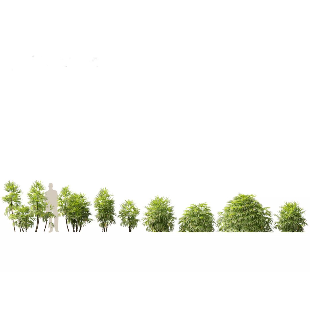 Exotic Tropical Greenery Pack 3D Model – High Poly Plants, FBX & Blender - View 22