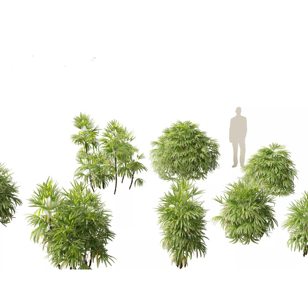 Exotic Tropical Greenery Pack 3D Model – High Poly Plants, FBX & Blender - View 23