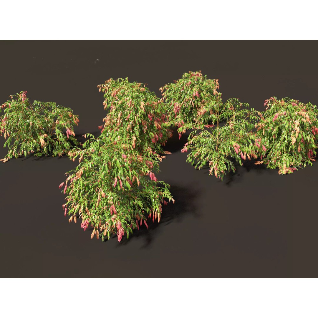 Exotic Tropical Greenery Pack 3D Model – High Poly Plants, FBX & Blender - View 25