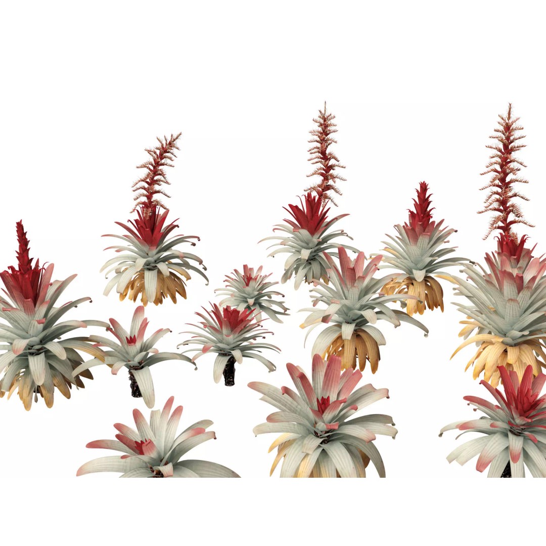 Exotic Tropical Greenery Pack 3D Model – High Poly Plants, FBX & Blender - View 4