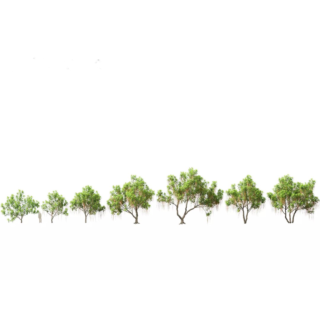 Exotic Tropical Greenery Pack 3D Model – High Poly Plants, FBX & Blender - View 5