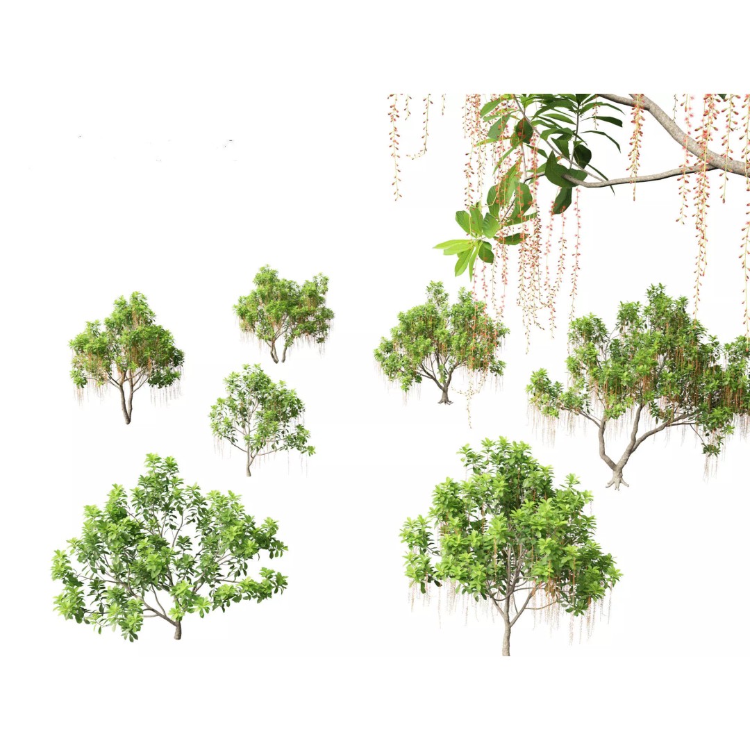 Exotic Tropical Greenery Pack 3D Model – High Poly Plants, FBX & Blender - View 6