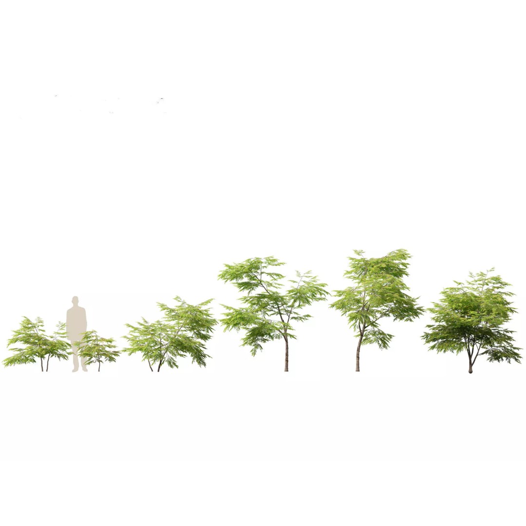 Exotic Tropical Greenery Pack 3D Model – High Poly Plants, FBX & Blender - View 7