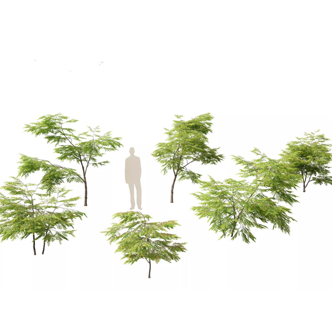 Exotic Tropical Greenery Pack 3D Model – High Poly Plants, FBX & Blender - View 8