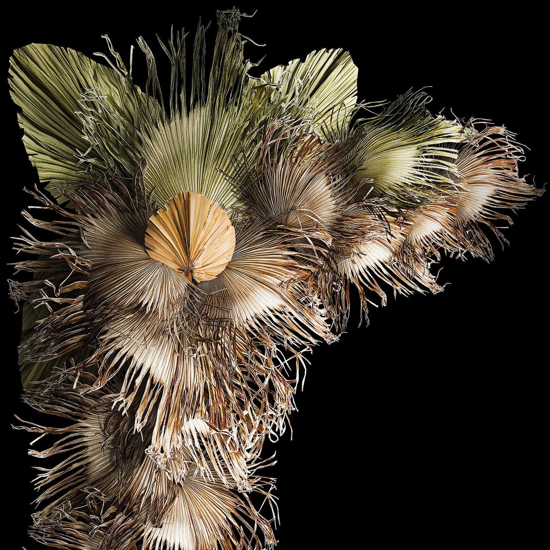 Dried Palm Leaf Christmas Tree 3D Model – Eco-Friendly Decorative Asset - View 16