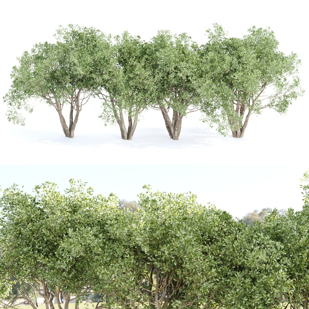 Shrubs Collection 3D Model – High Poly Plant Asset, OBJ/FBX