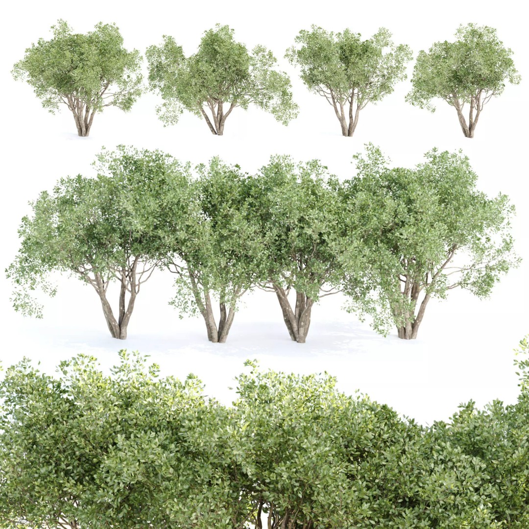 Shrubs Collection 3D Model – High Poly Plant Asset, OBJ/FBX - View 2