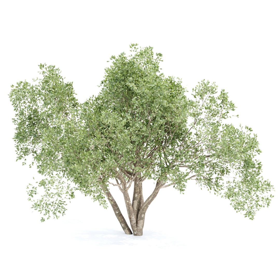 Shrubs Collection 3D Model – High Poly Plant Asset, OBJ/FBX - View 4