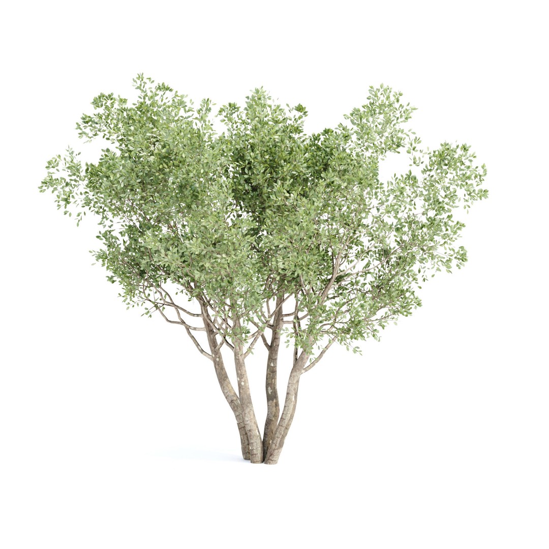 Shrubs Collection 3D Model – High Poly Plant Asset, OBJ/FBX - View 5