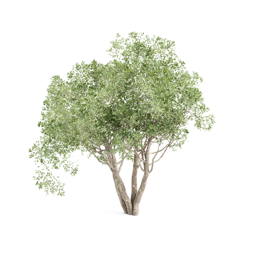 Shrubs Collection 3D Model – High Poly Plant Asset, OBJ/FBX - View 6