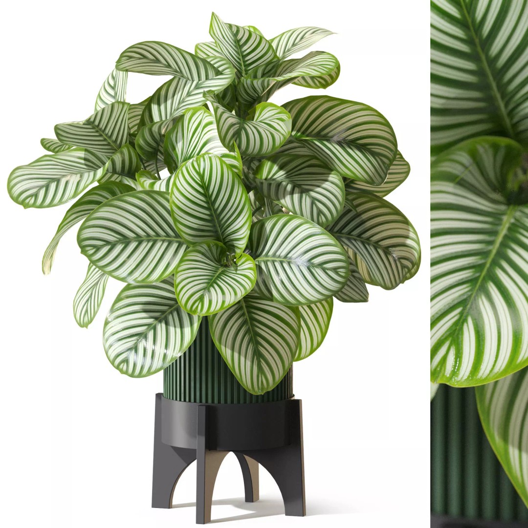 Plant 1304 3D Model – High-Quality PBR Asset for Archviz & Design - View 2