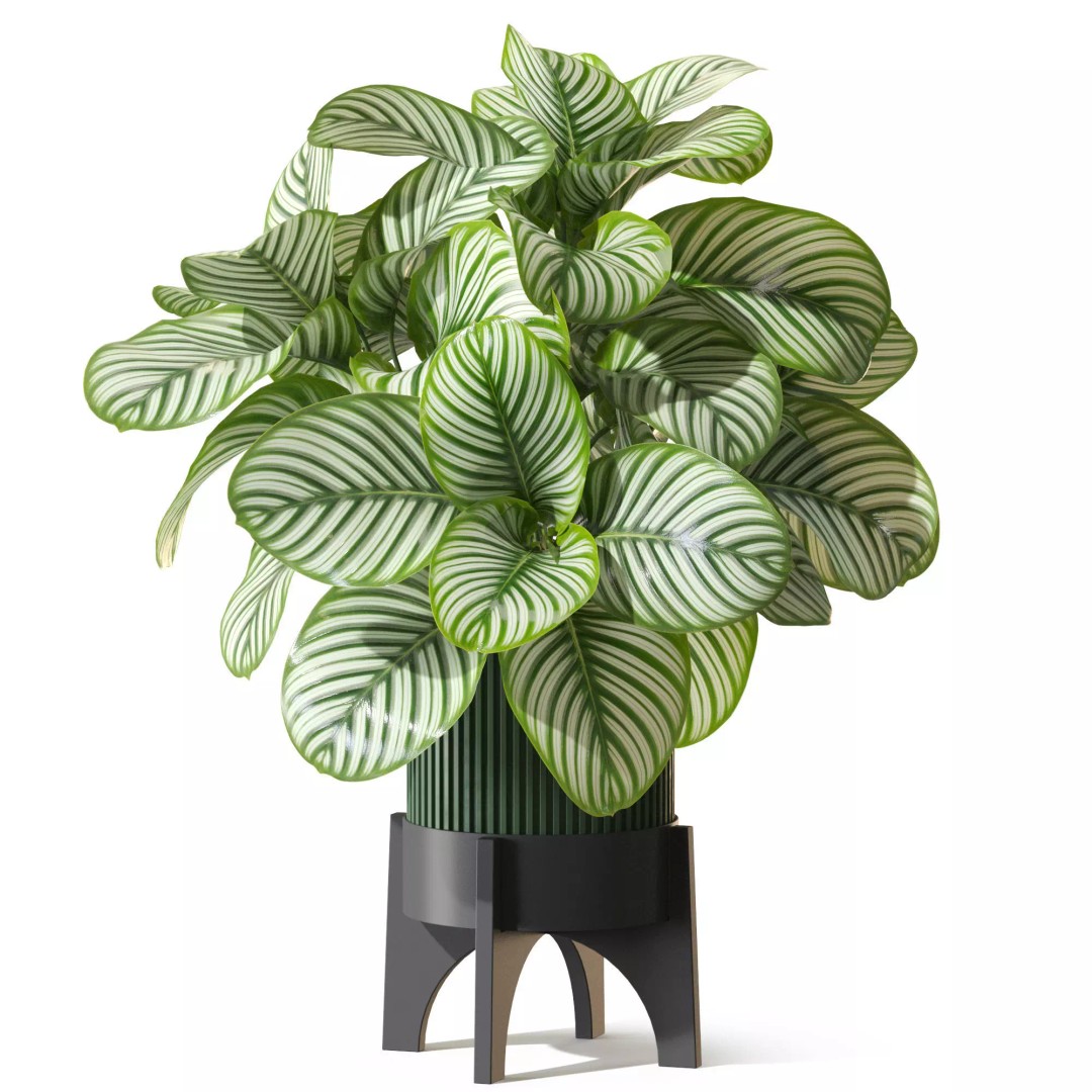 Plant 1304 3D Model – High-Quality PBR Asset for Archviz & Design - View 3