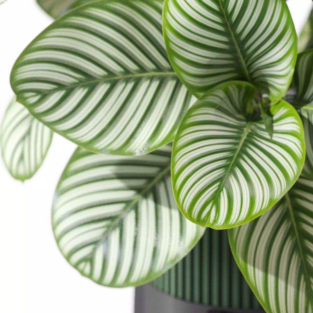 Plant 1304 3D Model – High-Quality PBR Asset for Archviz & Design - View 4