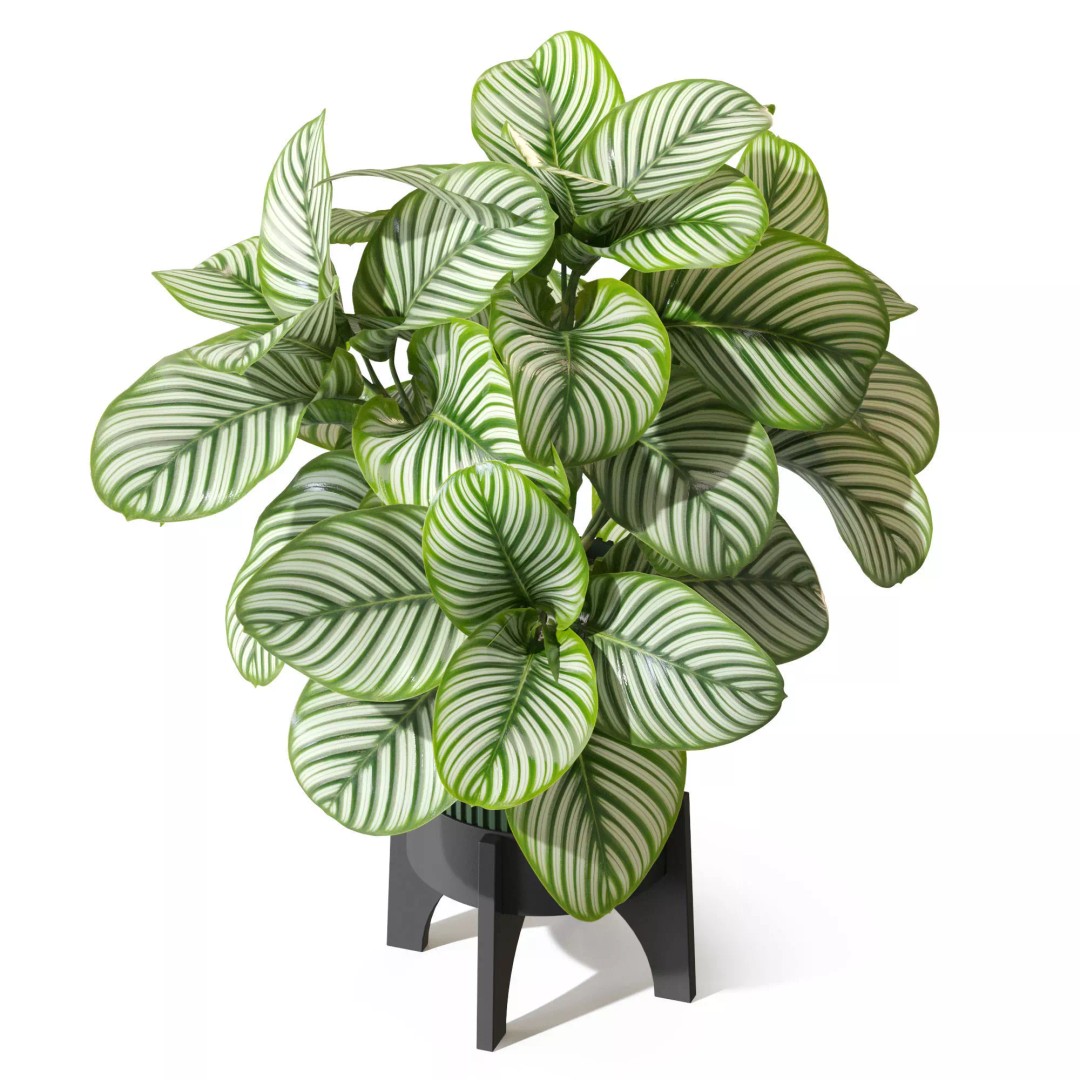 Plant 1304 3D Model – High-Quality PBR Asset for Archviz & Design - View 5