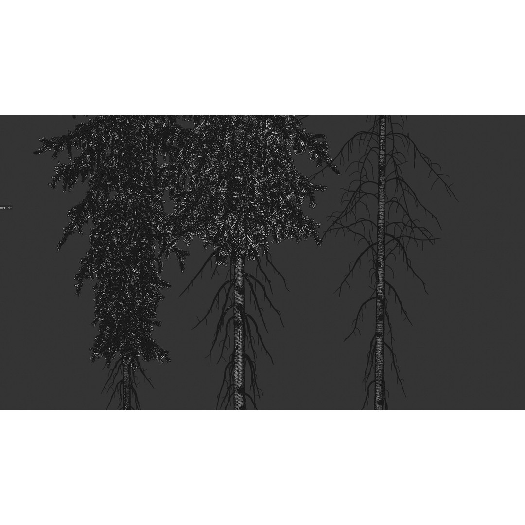 Fir Trees 3D Model – High Poly PBR Conifer Asset, FBX, OBJ, STL - View 8