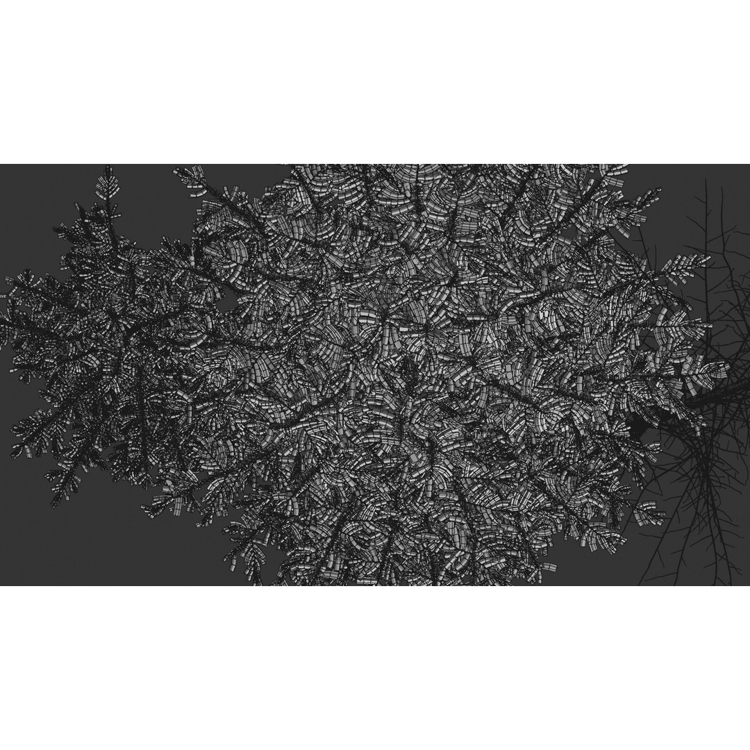 Fir Trees 3D Model – High Poly PBR Conifer Asset, FBX, OBJ, STL - View 9
