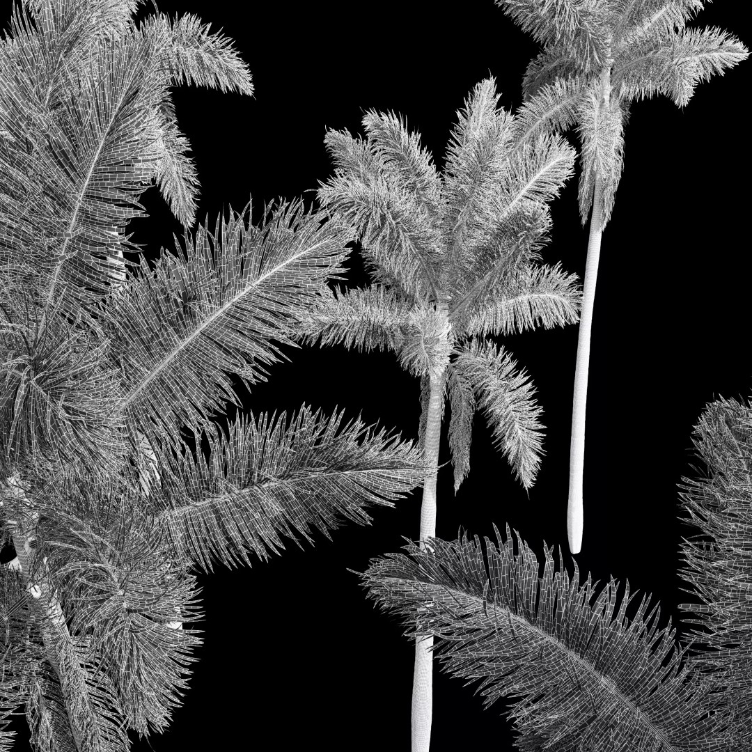 Roystonea Regia Trees 3D Model – High Poly Tropical Vegetation, FBX, OBJ, Blender